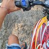 agsaap