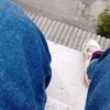 luis_fernando576
