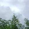 akutiada2