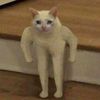 똠양꿍레시피