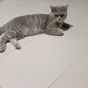 nini120767