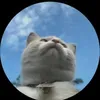 kingkoys2