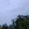 dalbaeb_2304