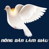 Nông dân làm giàu