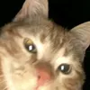 yuyungggq