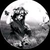 rabbit.6071