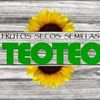 teo_teo.elmonte