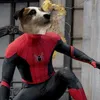 barryzkaa