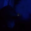 mohammad.alian19