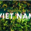 nhuyhuynh2013