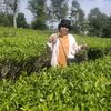 yustinakusriyati