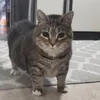 hieuconle