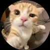huuanh3708