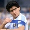 maradona86867