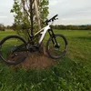 simonp803