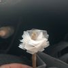 bombkittyog