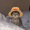 guizera_nunes