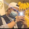 sxeko.126