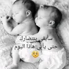 habibawaleed2888