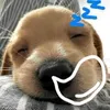 chup_bi