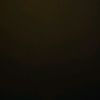 pion_4530