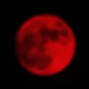 moon23cat