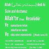 ali.alver19