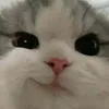 taa_githaaaaa