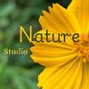 naturestudio0