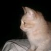 dniiiii09