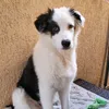 buddy_mit_herz
