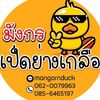 mongkornducks