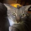 jacob.oliver7