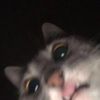mrzaelssa