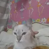 janianebastos883
