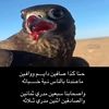 الاحمري
