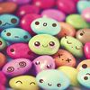 puppyies8