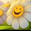 user8300460602932