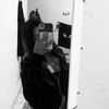 _molotla