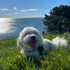 chloec_45