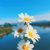 moingay_1dieuhay