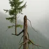 binhmin89