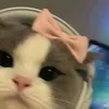 userc7eq0tjzk3