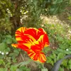 galina.bordiyan.sochi