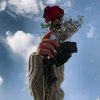 humaira_sauqi