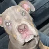 jj_seville67