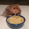 niniwonn