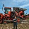 ardan_175