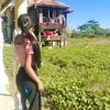 khin405231