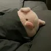 小猪🐷🐷